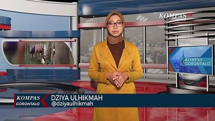 Seekor Buaya 2,5 Meter Masuk Ke Jaring Ikan Nelayan