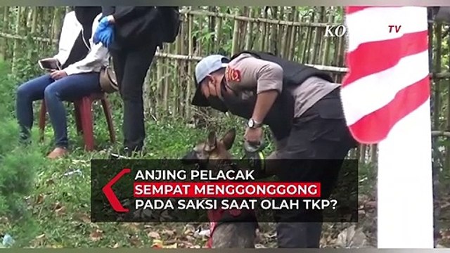 Anjing Pelacak Sempat Mengonggong pada Saksi Saat Olah TKP Pembunuhan Subang?