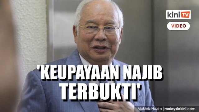 'Keupayaan terbukti, Najib wajar diberi peranan dalam kerajaan'