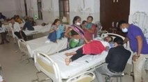 105 cases of dengue, viral fever surface in UP's Firozabad