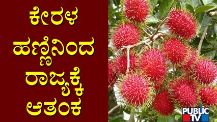 Rambutan Fruit Suspected For Nipah Virus Infection