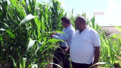 155 bin liralık elektrik faturası gelen çiftçi: Fabrika mı çalıştırıyorum?