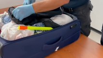 Palermo - Droga occultata nei bagagli: denunce e sequestri in aeroporto (07.09.21)