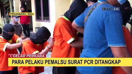 Pakai Surat PCR Palsu untuk Terbang ke Jakarta dari Pekanbaru, 5 Pelaku Ditangkap Polisi
