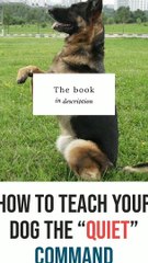 how to teach your dog the quiet command ( 1920 X 1080 )