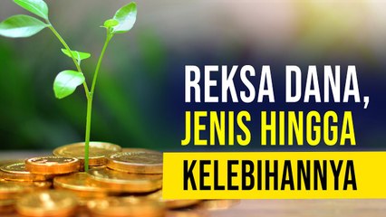 Reksa Dana Paling Aman Cari Cuan? Setuju?!?