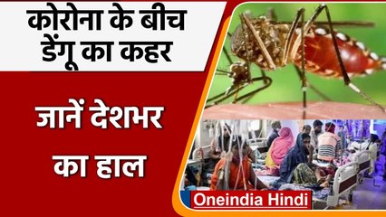 India में Dengue ने बरपाया का कहर, अब तक सैंकड़ों लोगों की मौत | वनंडिया हिंदी