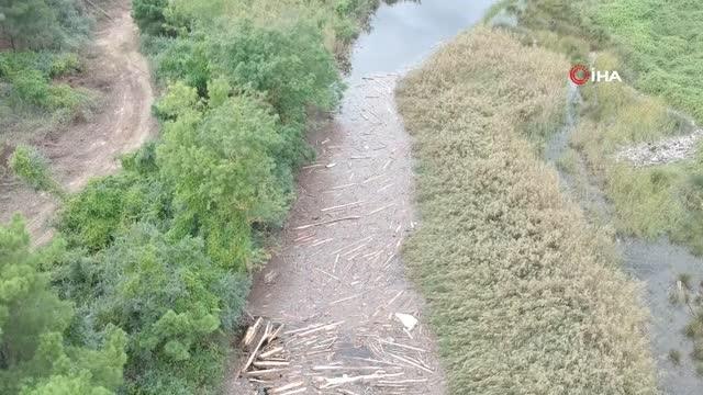 Selin sürüklediği tomruk ve çöpler Sarıkum Gölü boğazına dayandı