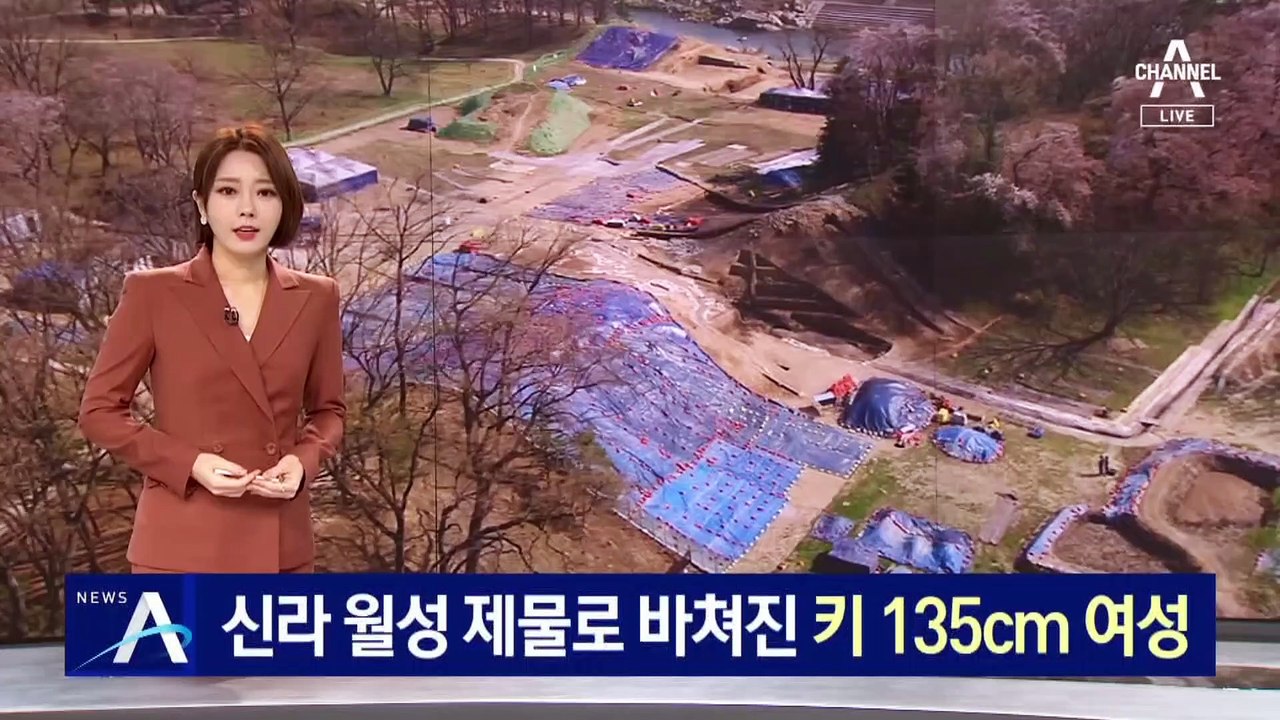 신라 월성 제물로 바쳐진 키 135cm 여성…낮은 신분 추정