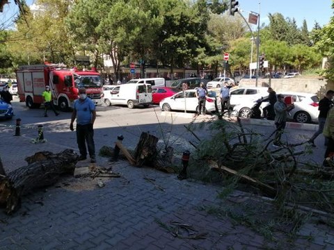 KARTAL'DA DEVRİLEN AĞACIN ALTINDA KALMAKTAN SON ANDA KURTULDU