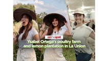 On the Spot: Ysabel Ortega's poultry farm and lemon plantation in La Union