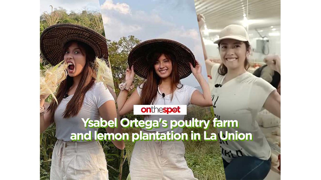 On the Spot: Ysabel Ortega's poultry farm and lemon plantation in La Union