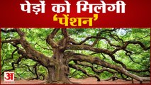 Pran Vayu Devta Scheme: Environment बचाने के लिए Haryana सरकार  की अनोखी पहल पेड़ों को भी मिलेगी Pension