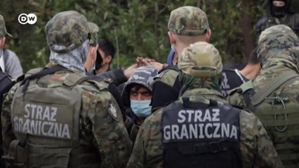 Что предпримет Польша из-за нелегалов со стороны Беларуси