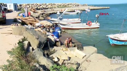 Balıkçıların "tomruk" korkusu