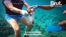 Elle replante des coraux partout dans le monde pour sauver les récifs