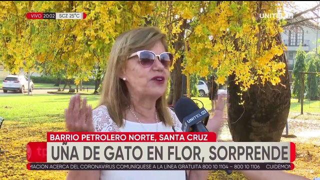 Florece planta Uña de Gato en Santa Cruz tras más de 5 años