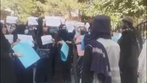 Manifestaciones en Afganistán en apoyo a la resistencia contra los talibanes
