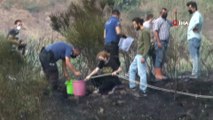 Büyükçekmece'de yangın: Otluk alanda çıkan yangın, rüzgarın etkisiyle yerleşim yerlerine yaklaştı