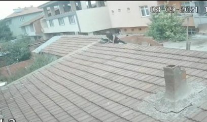 Husumetli olduğu akrabasının evine çatıdan girip eşini darbetti