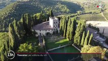 Routes du vin : la Toscane, berceau du Chianti, un des plus célèbres vins italiens