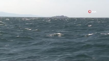 TBMM Müsilaj Araştırma Komisyonu Büyükada'da tüple dalış yaptı