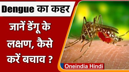 Dengue: देश के कई हिस्सों में Dengue का कहर, जानें इसके लक्षण और कैसे करें बचाव ? | वनइंडिया हिंदी
