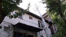 Maltepe'de şiddetli rüzgarda devrilen ağaç evin çatısına düştü