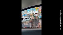 ¡Una amistad real! Joven trabaja limpiando vidrios mientras carga a su perrito en la espalda