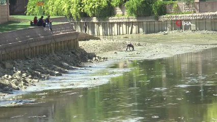 Porsuk Çayı'nda değerli eşya aradılar