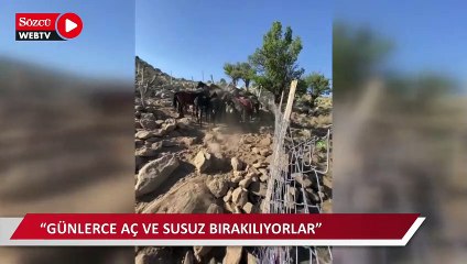 40 yılkı atını izinsiz toplayan 3 Kırgız uyruklu şahıs jandarmanın operasyonuyla yakalandı