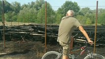 Lodi, a fuoco i resti della Cattedrale vegetale