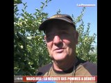 Le 18:18 - Récoltes des pommes : les producteurs du Vaucluse misent sur la qualité