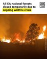 California Closing All National Forests Due to Wildfire Threats