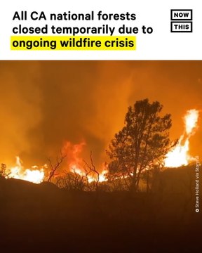 California Closing All National Forests Due to Wildfire Threats