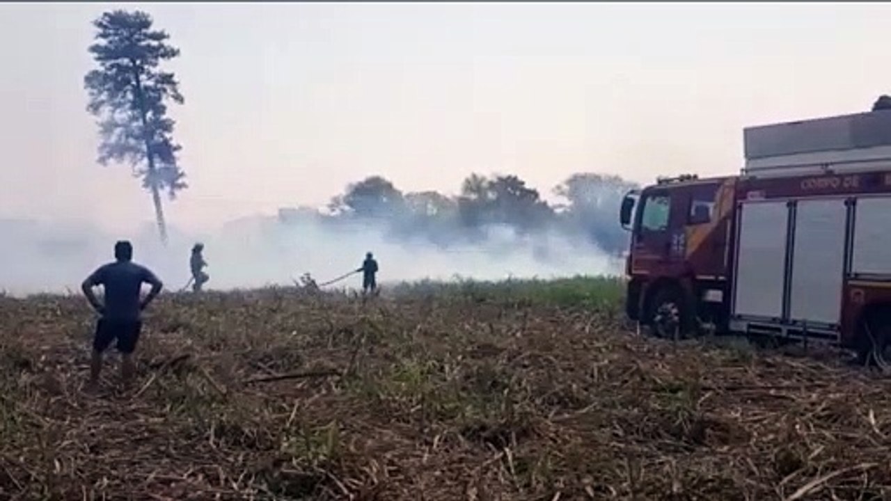 Incêndio em vegetação mobiliza caminhão-pipa e caminhão ABTR ao Pioneiros Catarinense