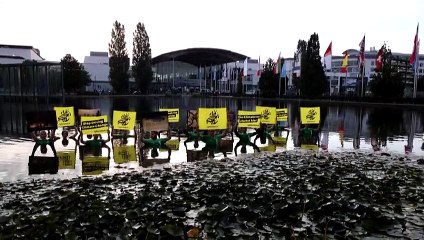 Протест среди кувшинок