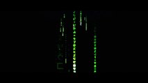 'The Matrix Resurrections': teaser tráiler de la esperada secuela