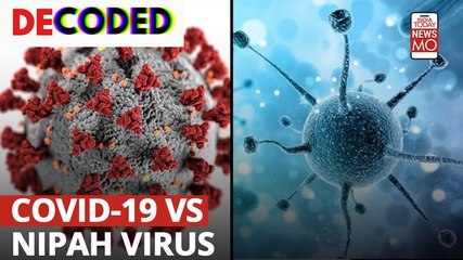 Coronavirus Vs Nipah Decoded | Which is more lethal?