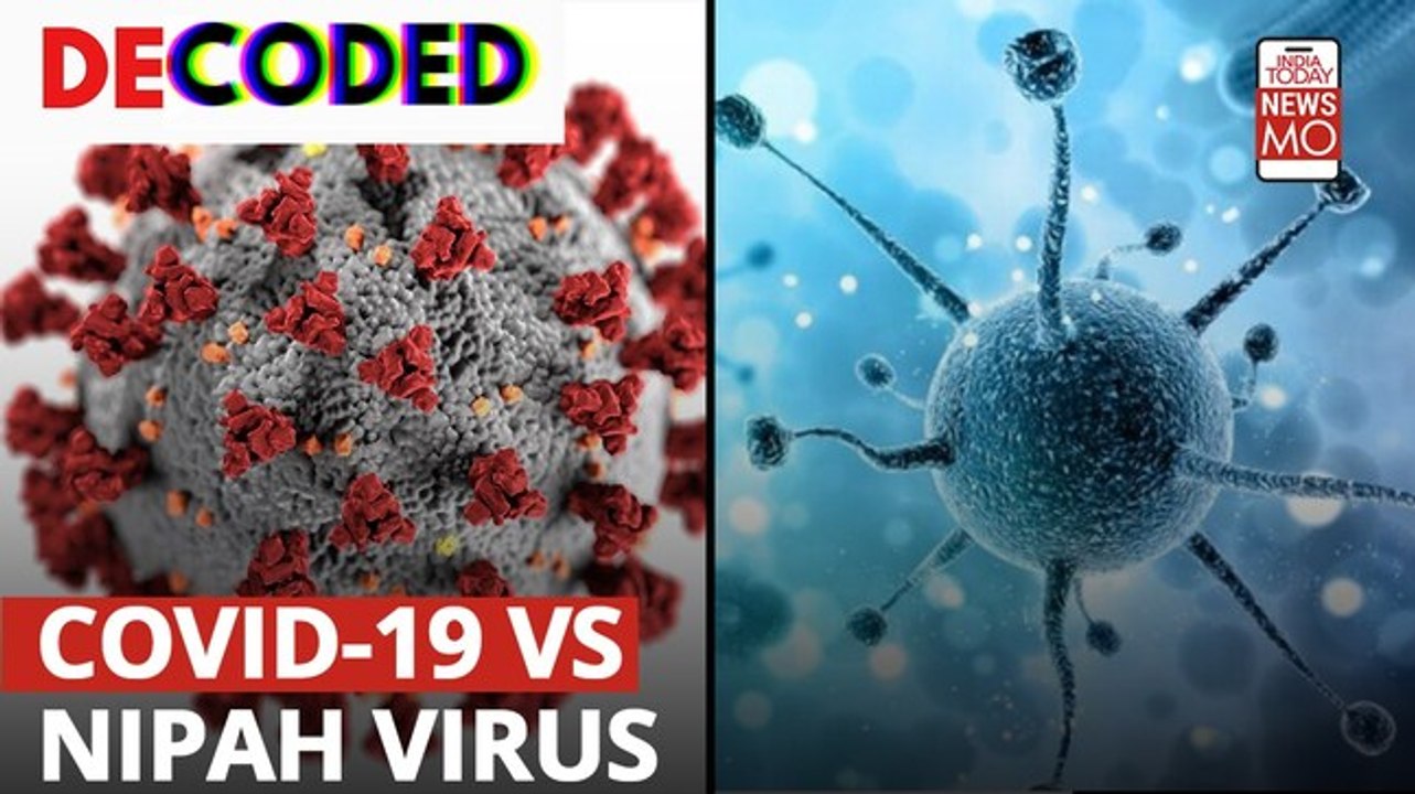 Coronavirus Vs Nipah Decoded | Which is more lethal?