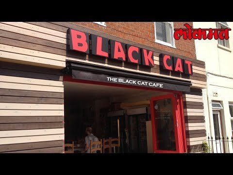 ऐकावं ते नवलच इथे आहे असा विचित्र कॅफे पहा हा व्हिडिओ | Lokmat Marathi News