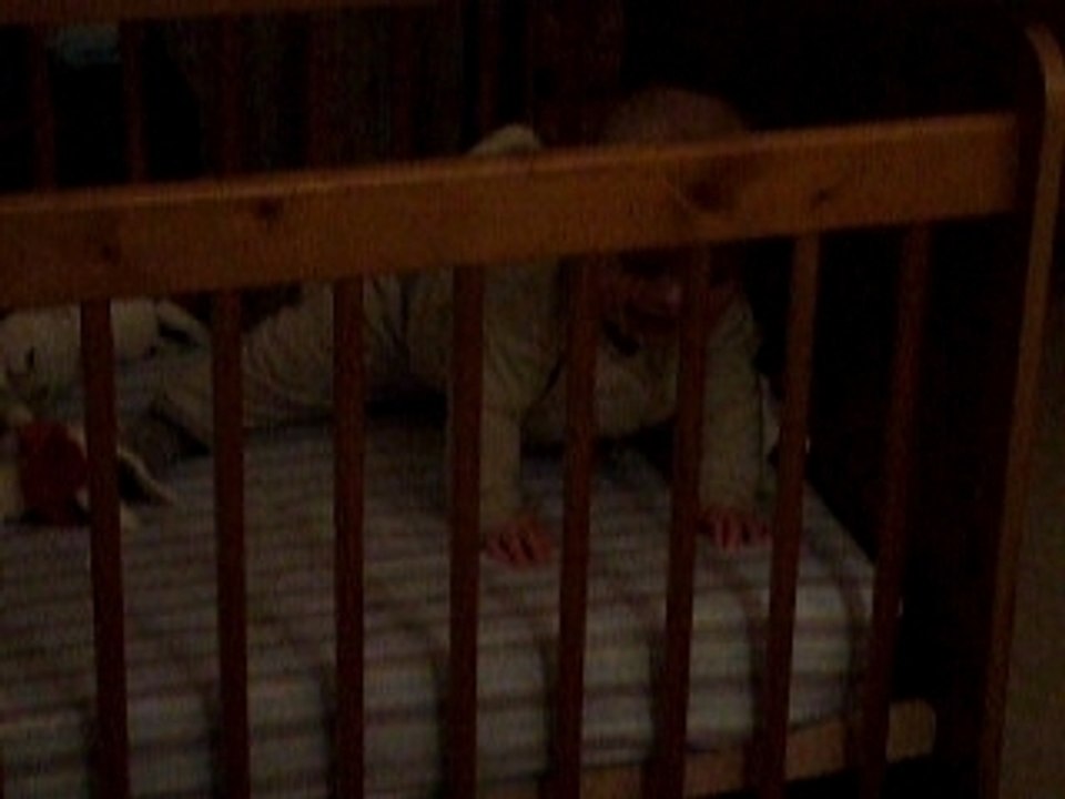 s video fevrier 2008 004