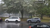 Wind and rain blow branches off trees in Quebec