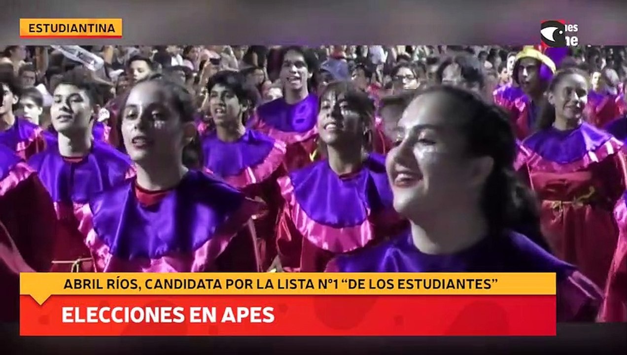 Elecciones en APES