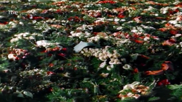 Apocalipsis: la guerra de los mundos - La conquista [1953 - 1955]