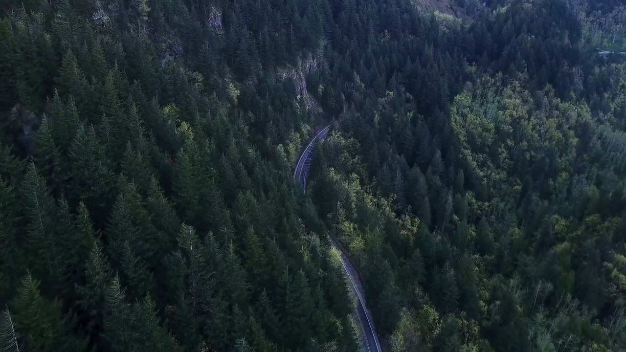 Hyundai Motor Group Presents Its Vision to Popularize Hydrogen by 2040 at Hydrogen Wave Forum