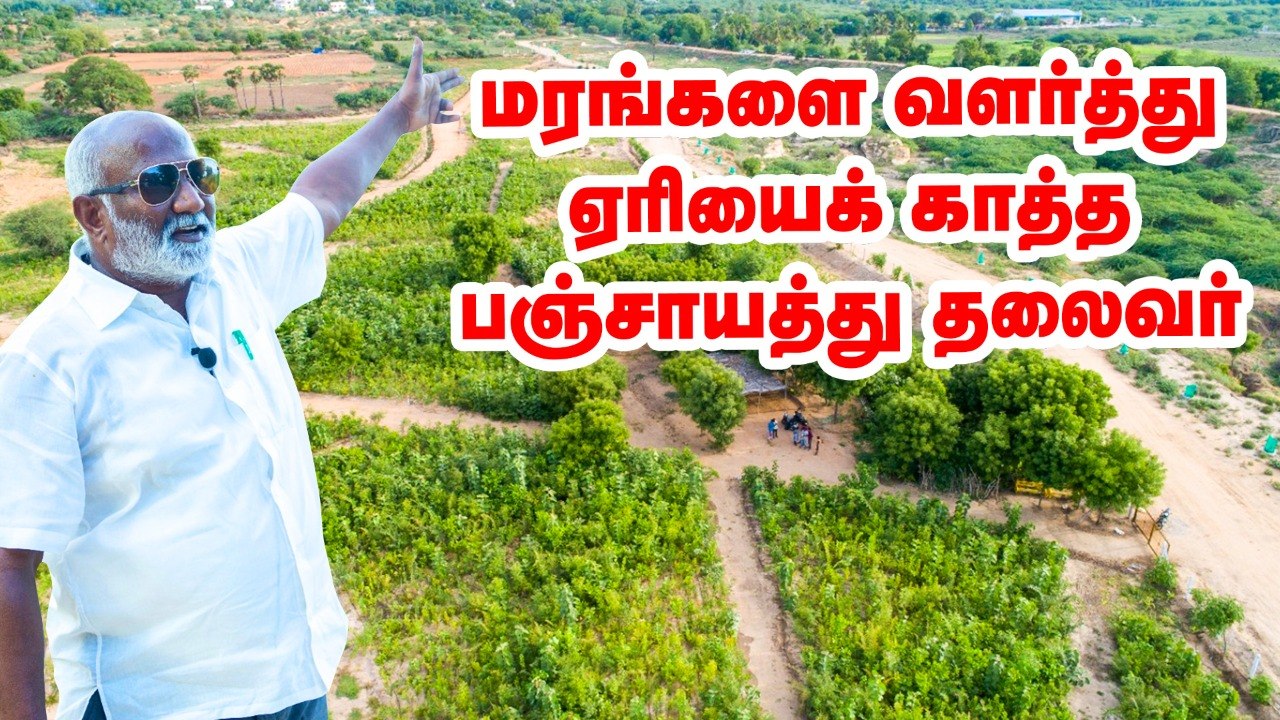 ஏரியைக் காத்த மரம் வளர்ப்பு.. களமிறங்கிய பஞ்சாயத்து தலைவர்!