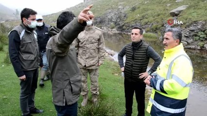 50 bin kırmızı benekli alabalık yavrusu derelere bırakıldı
