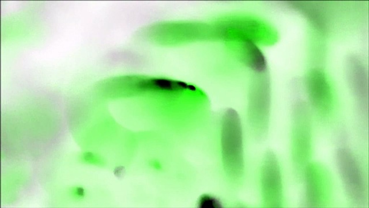 B6-30 Color Video cc0 license