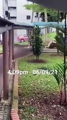TAXI DRIVER ARRESTED AFTER CRASHING INTO VOID DECK ALONG BUKIT MERAH